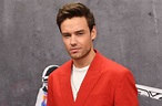 Liam Payne on the Complications of Co-Parenting During the Pandemic ...