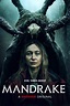 Mandrake (2022) Movie Review | HubPages
