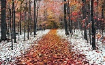 Fall Winter Wallpapers - Top Free Fall Winter Backgrounds - WallpaperAccess