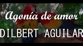 Dilbert Aguilar - Agonía de amor (LETRA/LYRICS) - YouTube