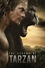 The Legend of Tarzan (2016) - Posters — The Movie Database (TMDB)