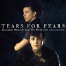 Tears for Fears - Everybody Wants to Rule the World: The Collection ...