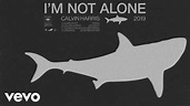 Calvin Harris - I'm Not Alone (2019 Edit) [Official Audio] - YouTube Music