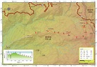 阿里山公路沿線-特富野古道(水山古道)｜漫步在清幽森林鐵路旁-愛玩美旅遊