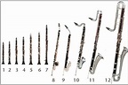SimpleMusic - Bonomo: clarinetto