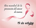 19 de octubre, día mundial de la prevención del cáncer de mama - Eje 360