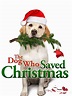 Amazon.de: Ein Hund rettet die Weihnachtsferien (The Dog Who Saved ...