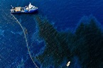 Immagini dal golfo del Messico - 350 mila litri di petrolio in mare da ...