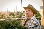 Inside Jim Belushi's Cannabis Operation, Belushi's Farm