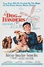 A Dog of Flanders : Mega Sized Movie Poster Image - IMP Awards