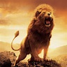 Roaring Lion Wallpapers - Top Free Roaring Lion Backgrounds ...