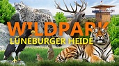 Wildpark Lueneburger Heide - YouTube
