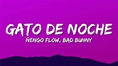 Ñengo Flow, Bad Bunny - Gato de Noche (Letra/Lyrics) - YouTube