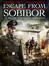 Sobibor (2018) - Posters — The Movie Database (TMDB)