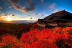 经过千百次锤炼的榜单，京都红叶景点Top5 | All About Japan