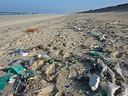 Fotos gratis : playa, mar, costa, residuos, basura, contaminación ...