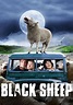 Black Sheep (2006) Picture - Image Abyss