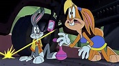 Looney Tunes: Rabbits Run (2015)