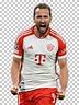 Download Harry Kane transparent png render free. Bayern Munich png ...
