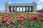 Gorky Park is a Central Park of Moscow, with 100, 000 people a day on ...