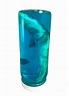 Real Authentic Shark in a Bottle Jar Marine Specimen | Etsy