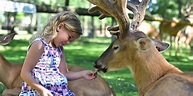 Wisconsin Deer Park - Unique Family Petting Zoo & Attraction | WisDells
