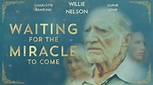 Watch Waiting for the Miracle to Come (2018) Online for Free | The Roku ...