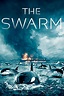 The Swarm (TV Series 2023) - IMDb