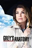 Grey's Anatomy (TV Series 2005- ) - Posters — The Movie Database (TMDB)