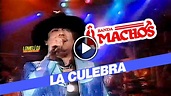 1994 - LA CULEBRA - Banda Machos con Raul Ortega - En Vivo - - YouTube