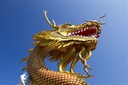 10 Reasons Why the Dragon Chinese Zodiac Sign Is the Best Sign