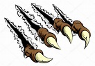 Eagle Claws Drawing at GetDrawings | Free download