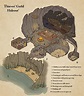 24 Amazing, Homemade Dungeons & Dragons Maps (2022)