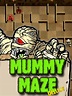 Mummy Maze Deluxe: All about Mummy Maze Deluxe