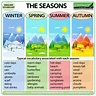 Seasons Vocabulary in English | Woodward English