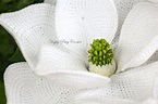Crochet Flower Pattern Crochet Magnolia Grandiflora | Etsy