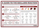 Food Chemistry – The Maillard Reaction | Compound Interest