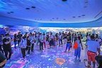 桃園水族館｜Xpark都會型水生公園，Xpark門票、詳細交通攻略，彷彿置身日本海的奇幻旅程