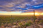 Die 5 schönsten Nationalparks in Arizona | Urlaubsguru