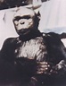 Oscar the Humanzee and the Potassiums - Jonathan's Blog