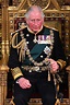 El rey Carlos III anunció cambios en su primer discurso como monarca ...