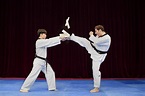 Best Of taekwondo its Taekwondo paralympic sport shields face games ...