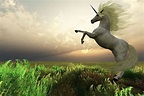 Real Unicorn Wallpapers - Top Free Real Unicorn Backgrounds ...