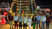 Enciende Noé Castillo arbol navideño gigante, iluminando el corazón del ...