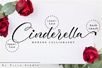 Cinderella Script | Stunning Script Fonts ~ Creative Market