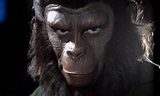 Eroberung vom Planet der Affen | Bilder, Poster & Fotos | Moviepilot.de
