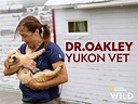 Watch Dr. Oakley, Yukon Vet | Prime Video