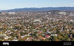 An aerial view of Mount Albert in Auckland, New Zealand Stock Photo - Alamy
