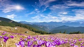 Mountains In Spring Wallpapers - Wallpaper Cave