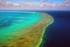La grande barriera corallina - Australia